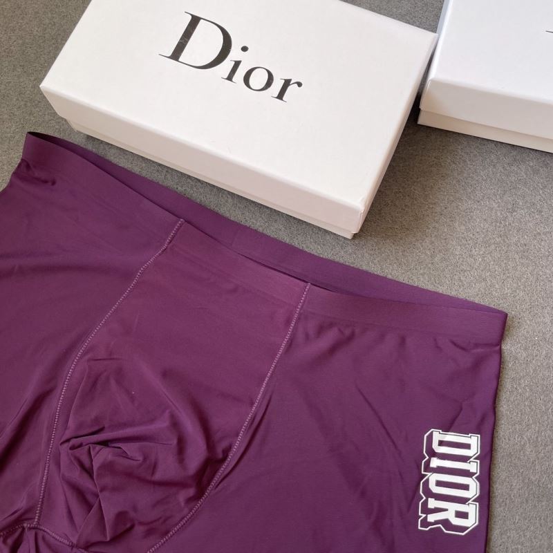 Dior Panties